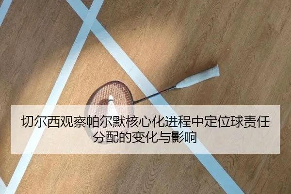 切尔西观察帕尔默核心化进程中定位球责任分配的变化与影响